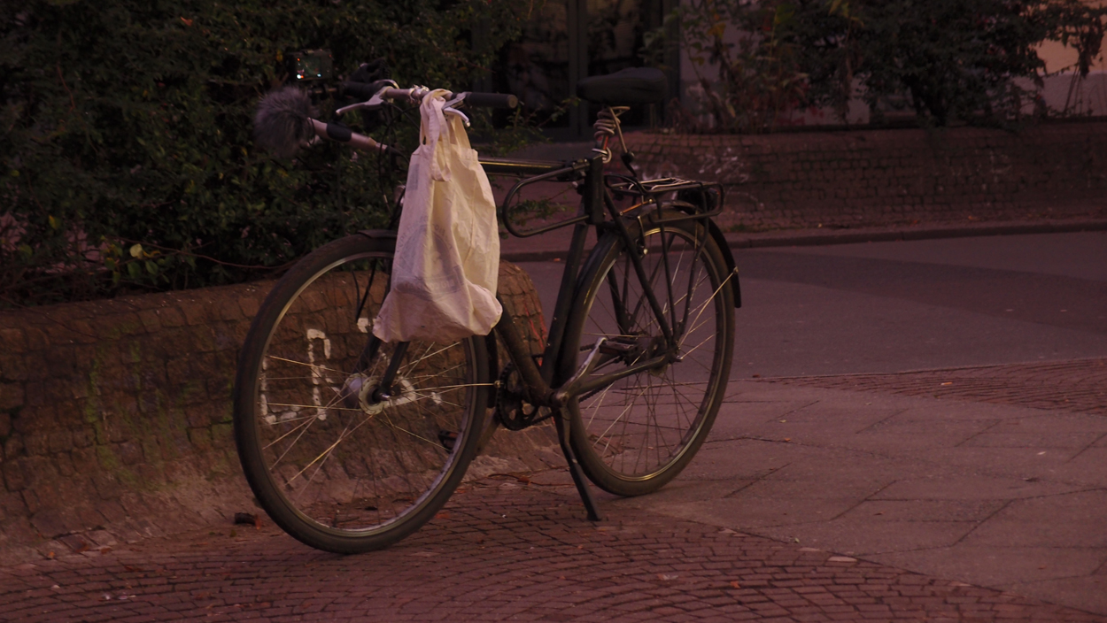 2019-12-11 Spatzen II (Fieldrecording Video)